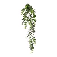 Műnövény Eukaliptusz lógó, 63 cm , zöld