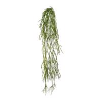 Műnövény Rhipsalis lógó, 61 cm, zöld, 61 cm, zöld